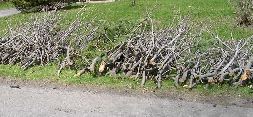 Collecte de branches - Ville de Saint-Rémi